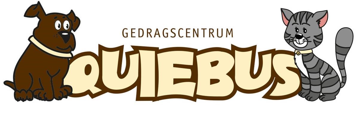 Quiebus